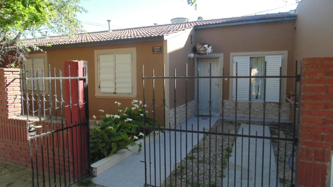 Casa Las Calas Puerto Madryn Eksteriør billede