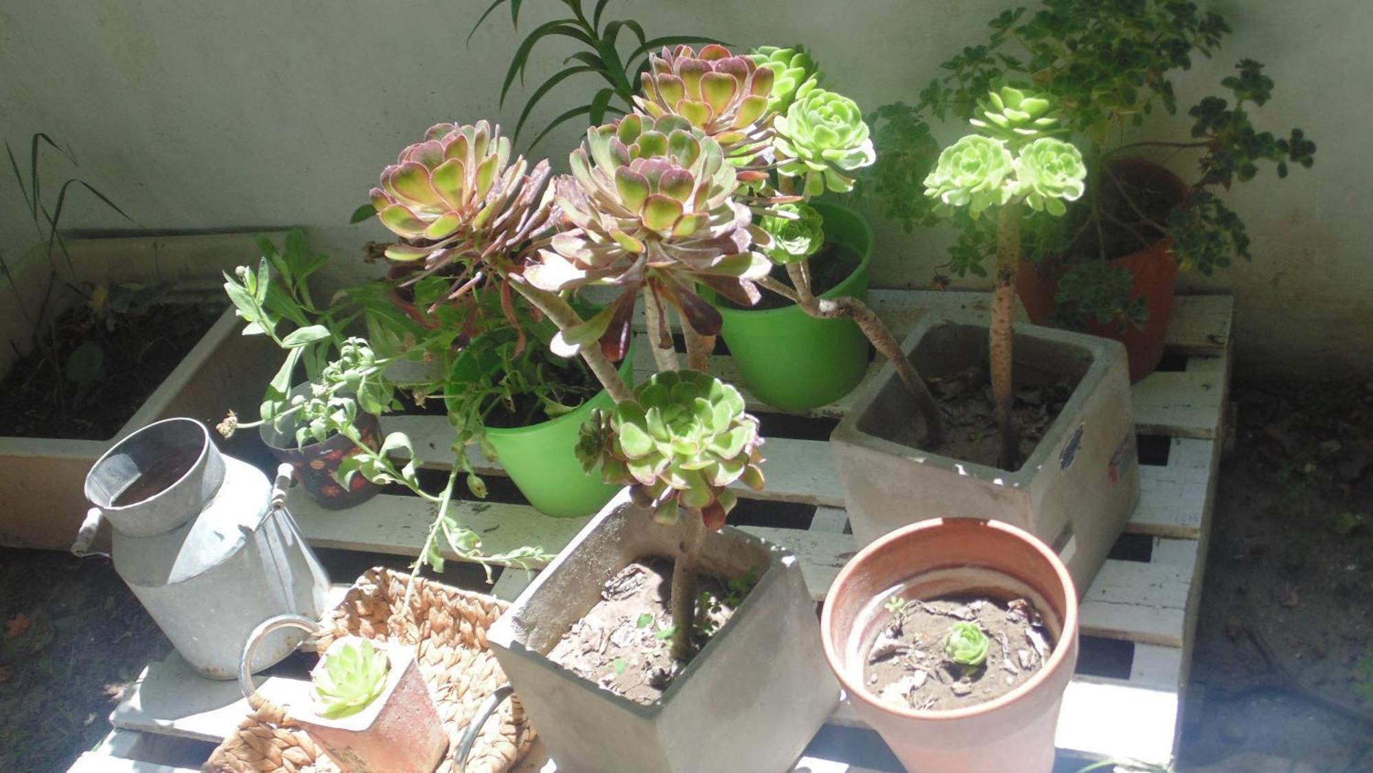 Casa Las Calas Puerto Madryn Eksteriør billede